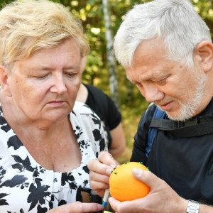 Uczestnicy za pomocą odpowiednich przyrządów uczą się na pomarańczy usuwać kleszcze-6