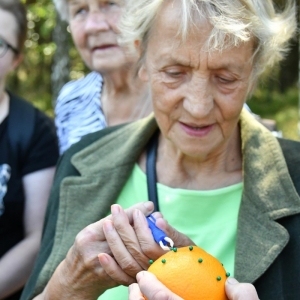 Uczestnicy za pomocą odpowiednich przyrządów uczą się na pomarańczy usuwać kleszcze-2