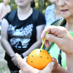 Uczestnicy za pomocą odpowiednich przyrządów uczą się na pomarańczy usuwać kleszcze-1 